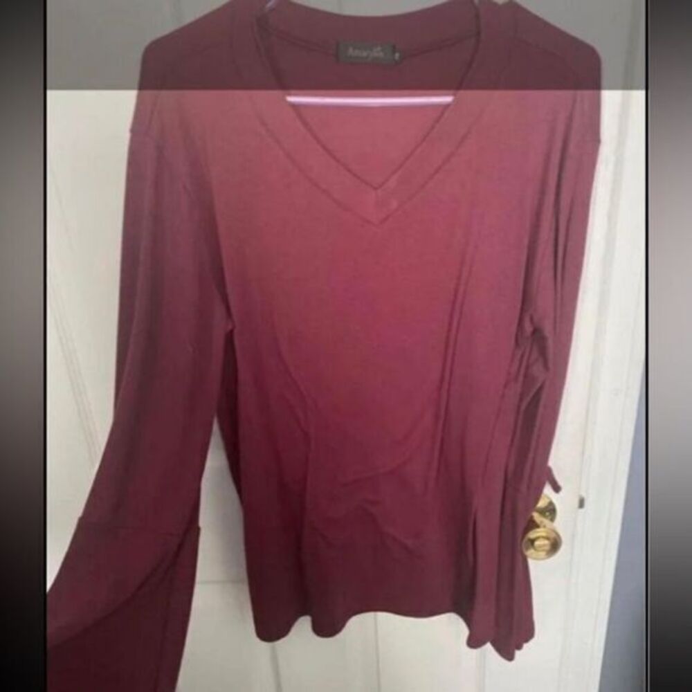 - Suzanne betro Maroon bells, sleeves, size medium, long sleeve top - Picture 1 of 2